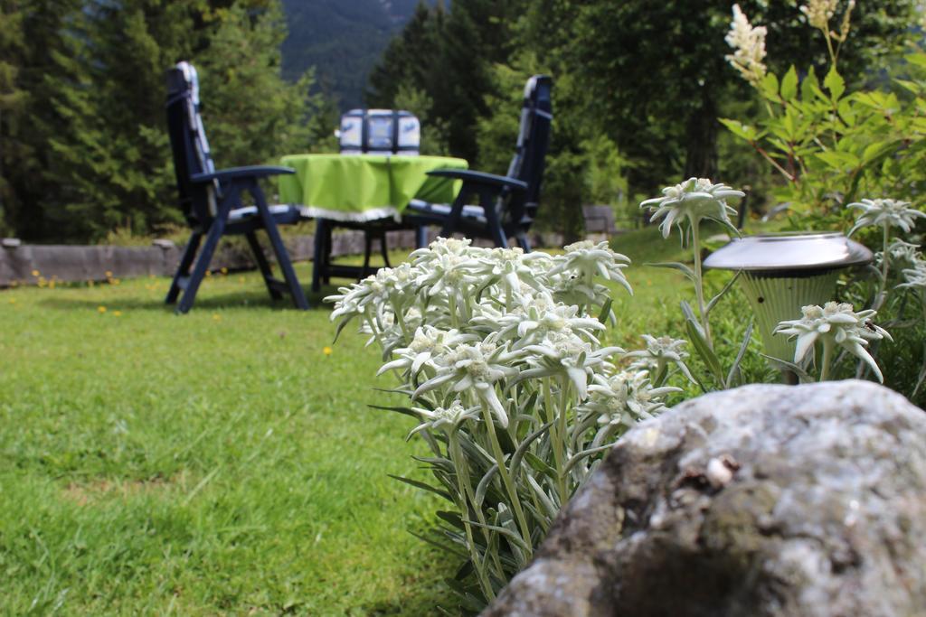 Hôtel Haus Almrausch à Seefeld in Tirol Extérieur photo
